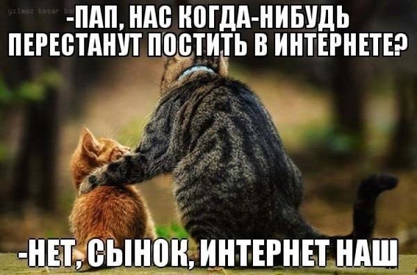 4743317_i23299 (600x396, 64Kb)