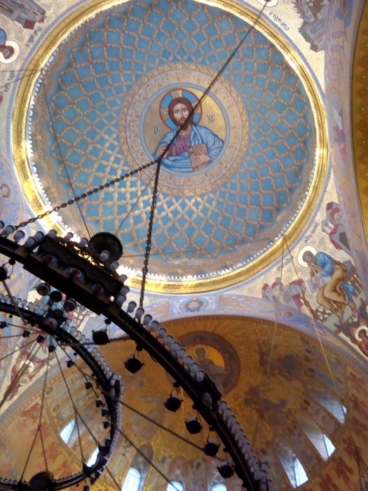 IMG_20241020_165215749_HDR (525x700, 182Kb)
