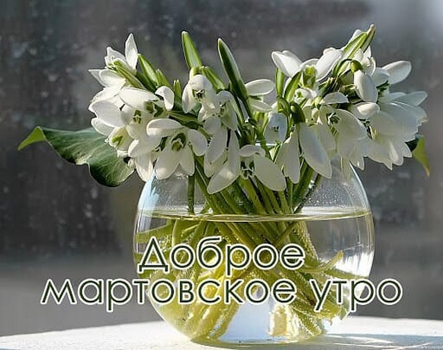 4743317_image20200324 (640x505, 89Kb)