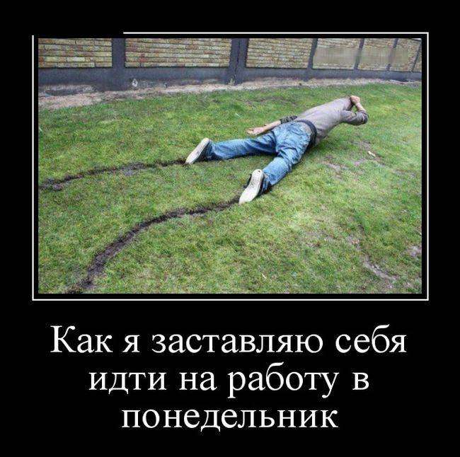 4743317_1442201434_02 (650x646, 61Kb)