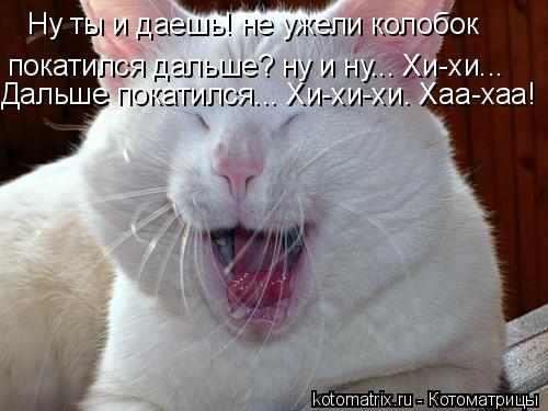 4743317_3T (500x375, 36Kb)