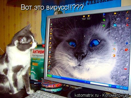 4743317_Jx (500x375, 43Kb)