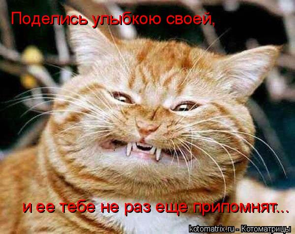 4743317_b (600x476, 55Kb)