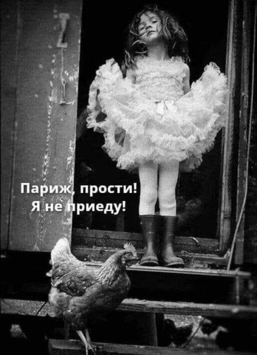 7f2460afa37e6163b9ff9d8584fd2eb2 (507x700, 59Kb)