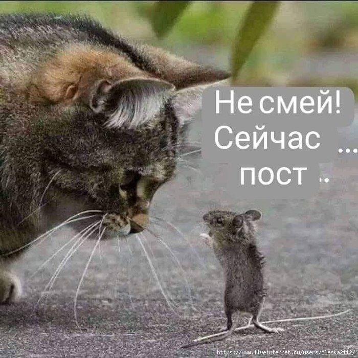 3018208291 (700x700, 242Kb)
