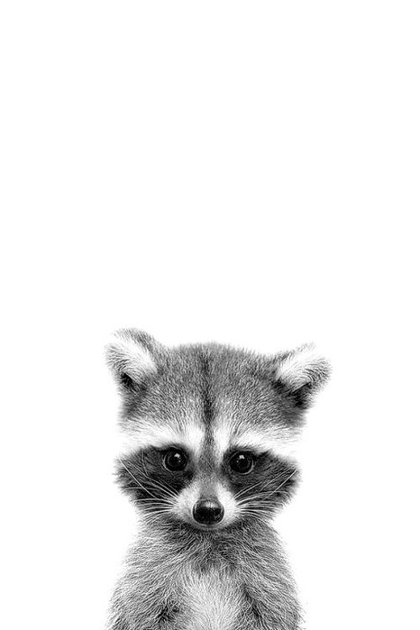4384049_bhh (466x700, 36Kb)