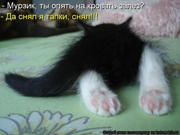 https://img0.liveinternet.ru/images/attach/d/4/163/875/163875790_4743317_i23298.jpg