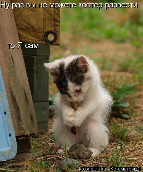 4743317_O3 (480x576, 53Kb)