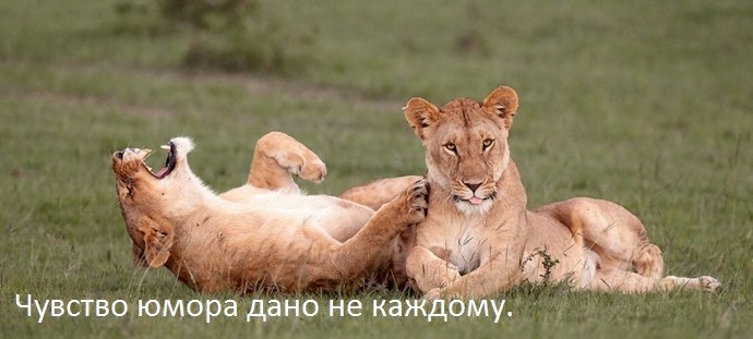 https://img0.liveinternet.ru/images/attach/d/4/163/875/163875808_4743317_133c6415.jpg