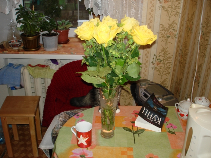 4085248_DSC02218 (700x525, 291Kb)