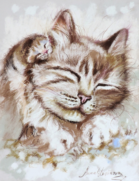 Котик (537x700, 480Kb)