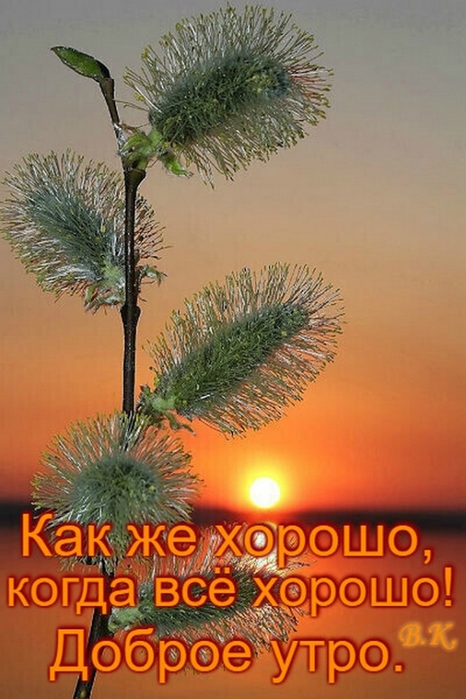 4743317_image20200312 (466x700, 239Kb)