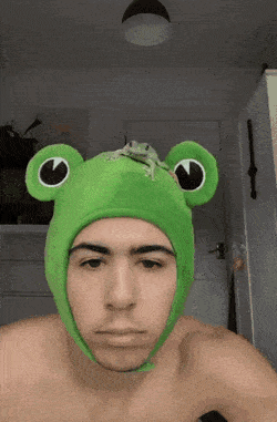4743317_1638534048_gifs_25 (250x381, 4649Kb)