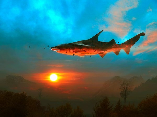 k_Haimatlos (600x447, 167Kb)