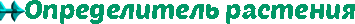 oie_overlay (380x100, 3Kb)