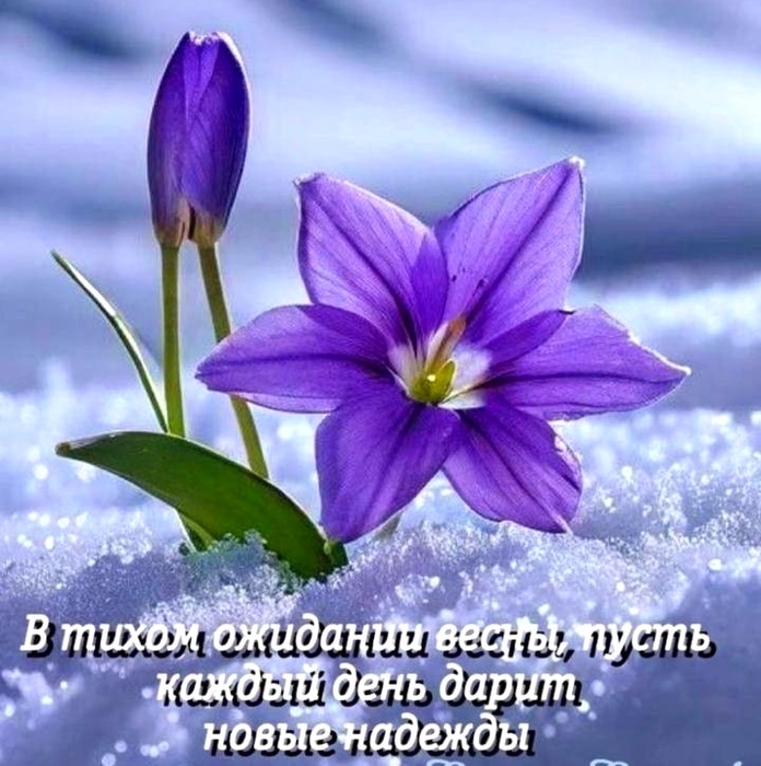 IMG_20250224_093709 (696x700, 178Kb)