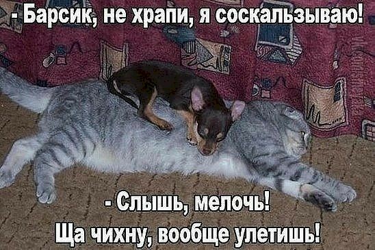 4743317_53412a5b (548x365, 72Kb)