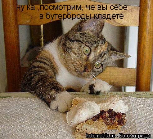 4743317_fG (493x450, 51Kb)