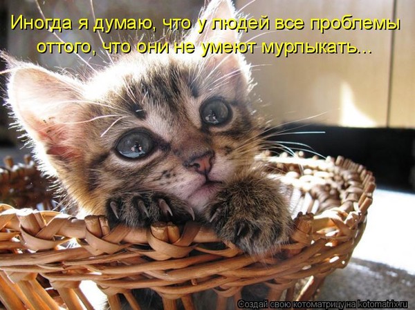 4743317_i23369 (600x449, 92Kb)