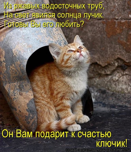 4743317_i23368 (515x600, 126Kb)