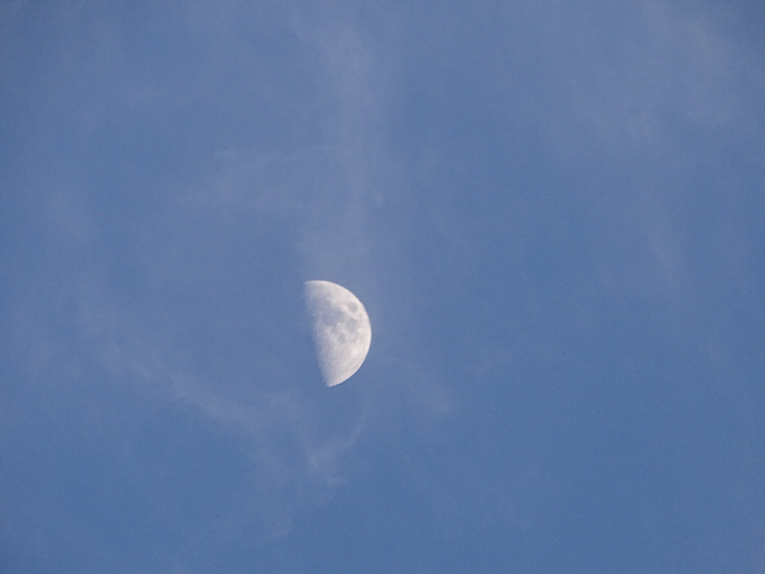 DSC00160 (700x525, 248Kb)