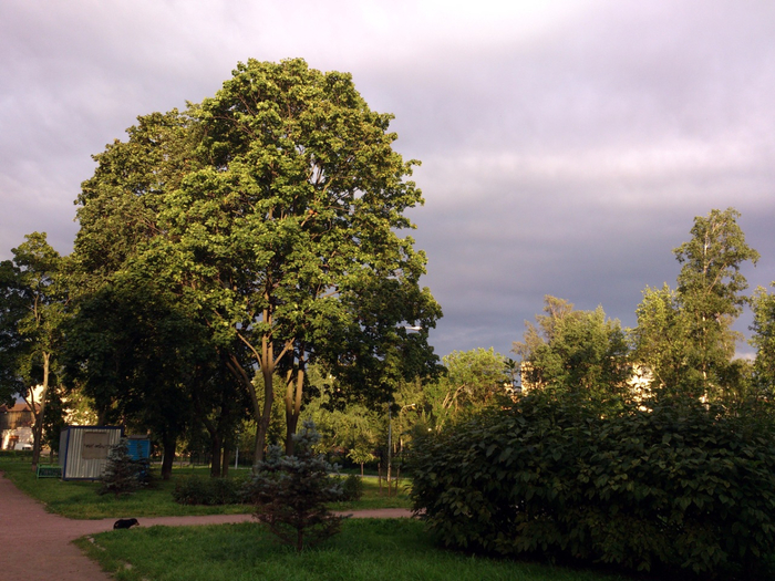 Незнакомый Петербург57 (700x525, 466Kb)
