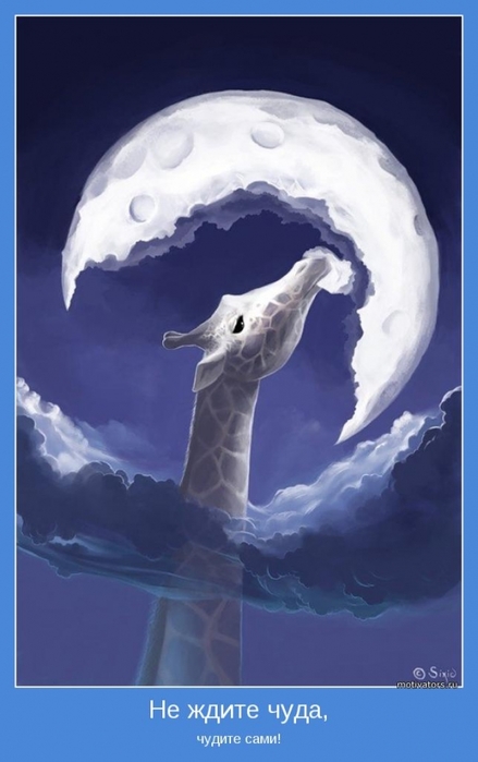 4743317_motivator30008 (439x700, 144Kb)