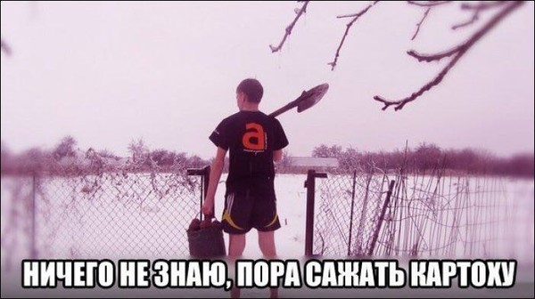 4743317_i87 (600x336, 51Kb)
