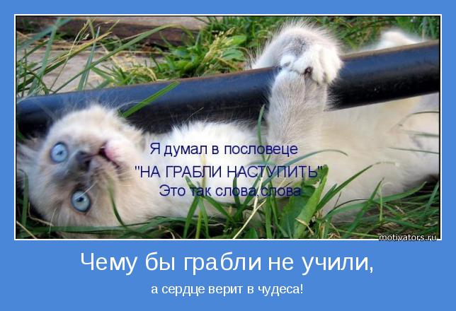 4743317_motivator37867 (644x440, 49Kb)