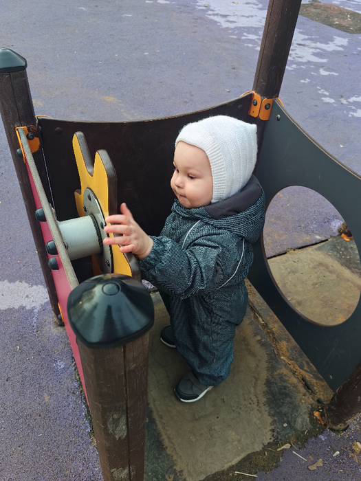 IMG_20250310_164655 (525x700, 449Kb)