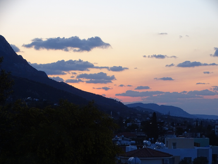 DSC00302 (700x525, 287Kb)