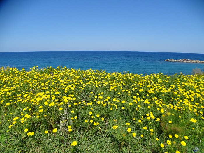 DSC00071 (700x525, 581Kb)