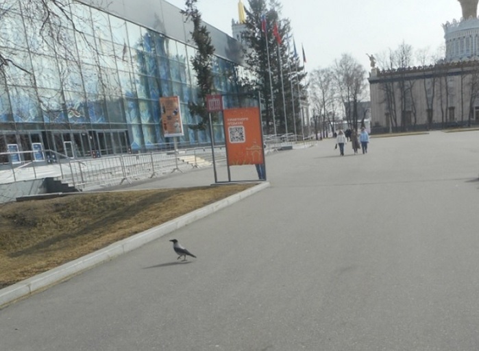 4752699_DSCN0633k2 (700x512, 100Kb)