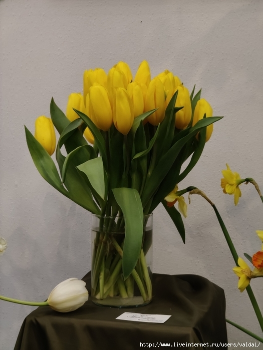 4702950_IMG20250308163228 (525x700, 209Kb)