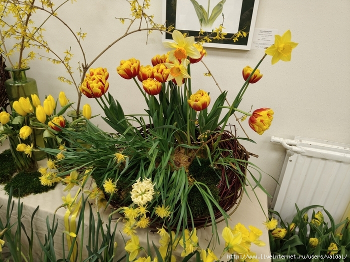 4702950_IMG20250308163653 (700x525, 342Kb)