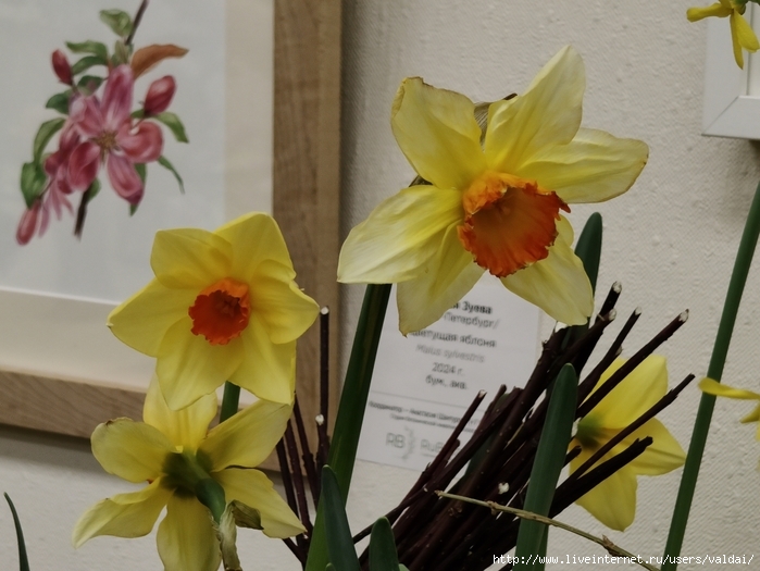 4702950_IMG20250308163727 (700x525, 245Kb)