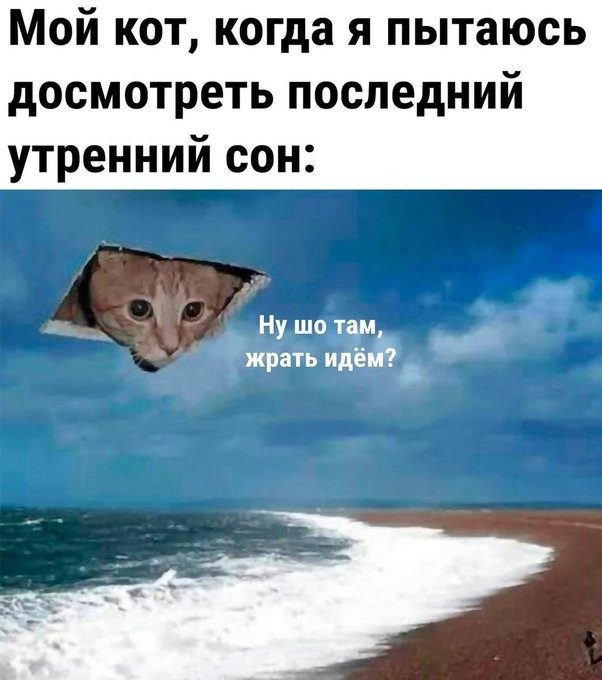 4743317_2883bc9f76 (602x680, 57Kb)