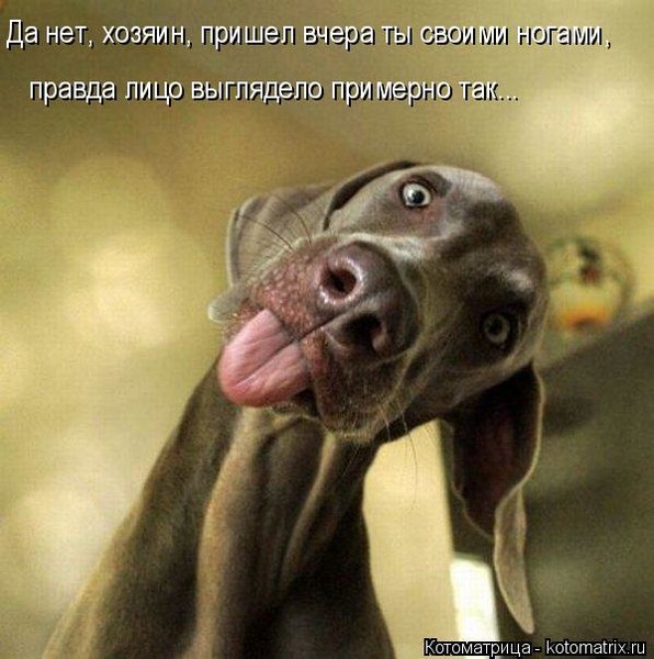 4743317_i23364 (596x600, 80Kb)