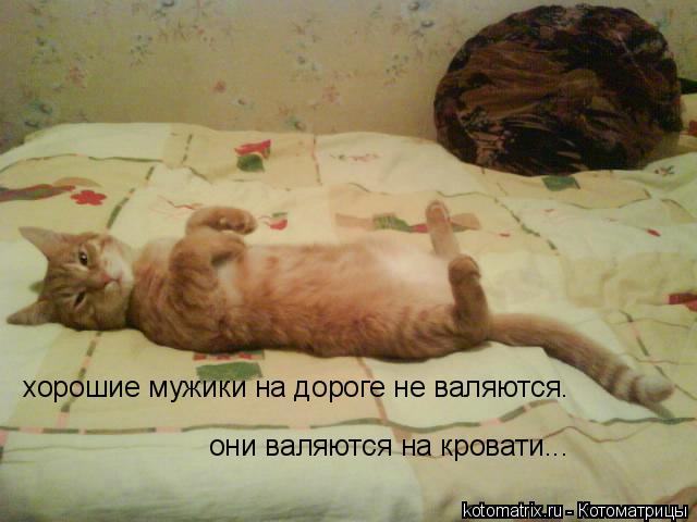 4743317_eS (640x480, 39Kb)