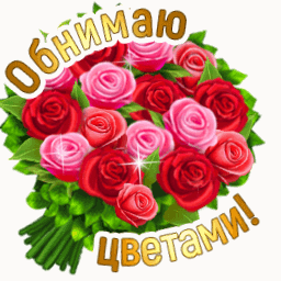 ada092694aa8da51d20e8e389f586a99 (256x256, 817Kb)