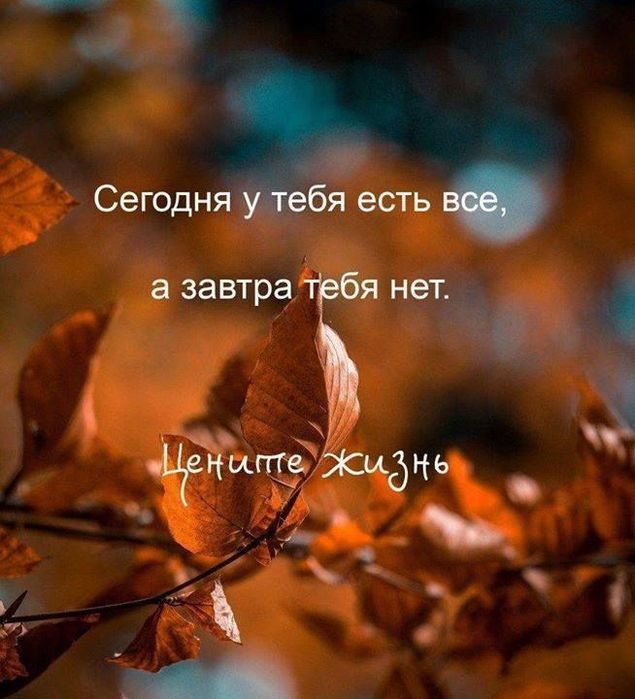 0a9cf8c5f33d09383e689eecf059b50e (635x700, 64Kb)