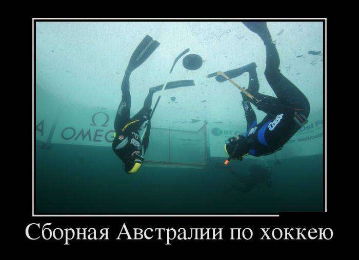 4743317_1442265228_22 (700x508, 29Kb)