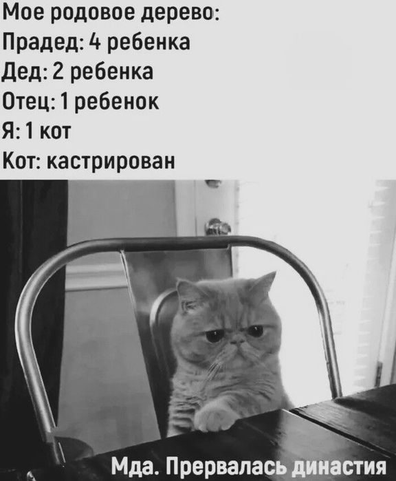 https://img0.liveinternet.ru/images/attach/d/4/163/908/163908760_3416556_483539294_1864252067749919_4657713702000366658_n.jpg