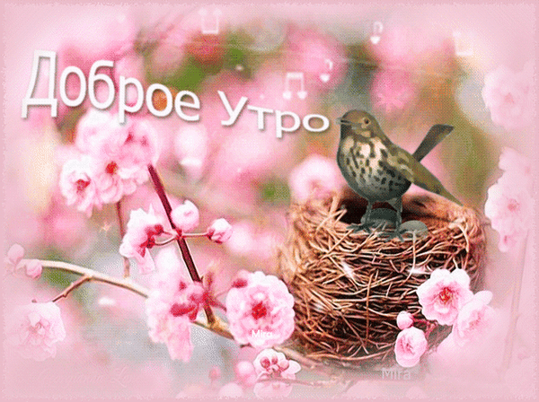 4743317_i9529 (600x448, 3379Kb)