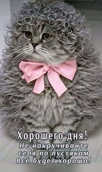 4743317_image (416x700, 200Kb)