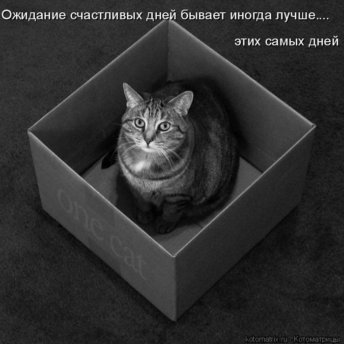 4743317_JM (700x700, 57Kb)