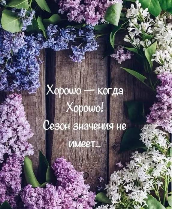 133da8579ce5b86b69ad1928bd82abbc (573x700, 98Kb)