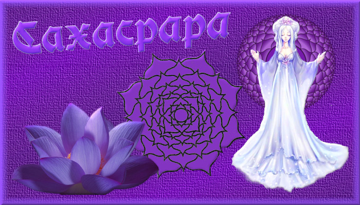 фио (700x400, 606Kb)