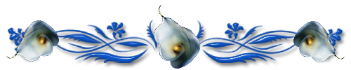 138988924_SRRRRRRyoSRRS_SRyoRRyoR (1) (500x100, 61Kb)