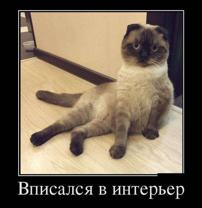 4743317_1442265214_20 (650x669, 41Kb)